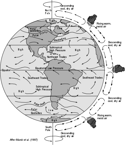 Globale Windzirkulationen  
