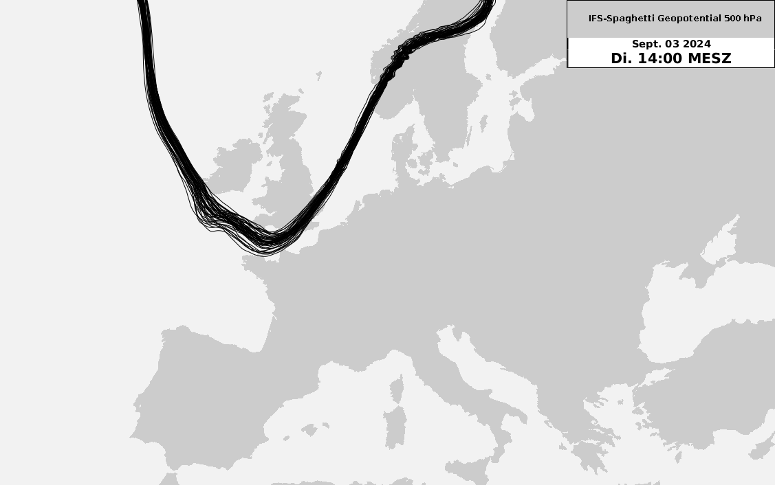 Ensemblevorhersage des europäischen Modells IFS («Spaghetti-Plot») für das 500 hPa Geopotential in der mittleren Troposphäre in ca. 5.5 Kilometer Höhe von Dienstag, 03.09.2024 bis Sonntag, 08.09.2024. Die schwarzen Linien zeigen das Geopotential der insgesamt 50 Ensemble-Members. Zu sehen ist die unterschiedlich modellierte Entwicklung des sich abspaltenden Höhentiefs über Westeuropa. Quelle: ECMWF, MeteoSchweiz