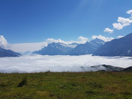 Der Hochnebel und die entstehenden Quellwolken heute Mittag vom Männlichen in Richtung Osten. Foto: R. Waldis