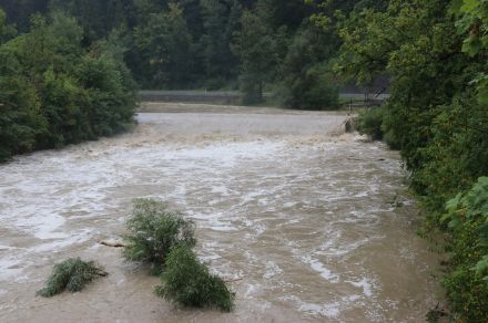 Die Sihl bei Langnau a.A.