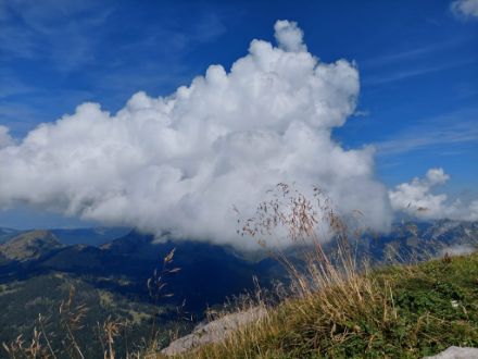 Sich auftürmende Quellwolke, vom Fluebrig SZ aus gesehen. Blick Richtung NE/Innerthal um die Mittagszeit
Aufnahme: R. Beerenwinkel 
