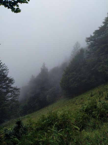 Impression aus Gersau (SZ). Bild: Meteomeldungen/App