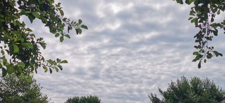 Morgendliche Wolkenfelder über Agno im Tessin. Foto: M. Grundlehner