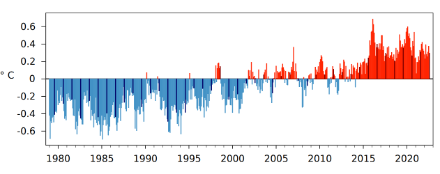 Säulendiagramm der monatlichen globalen Temperatur ab Januar 1979.