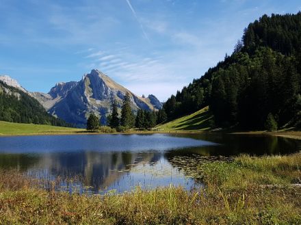 Blick über den Gräppelensee hinweg zum Wildhuser Schafberg. Bild: C. Hayoz