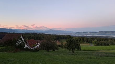 Altocumuli lenticulari über den Alpen und flacher Nebel im Mittelland, von Aeugst am Albis aus gesehen. Bild: C. Stocker