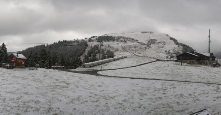 Im Mittelgebirge ist der erste Schnee gefallen. Hier in den Waadtländer Alpen, Region von « Chaux » in Gryon auf 1755 Metern.