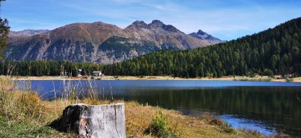 Schöner Herbsttag am Lej da Staz bei St. Moritz im Oberengadin. Bis die Lärchen gelb gefärbt sind, benötigt es noch etwas Geduld.