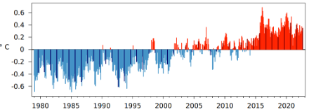 Säulendiagramm der monatlichen globalen Temperatur seit 1979.