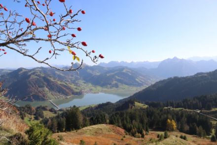 Blick vom Hummel zum Sihlsee und auf einen Richtung Südosten wolkenfreien Himmel, kurz vor Mittag.  
Foto: D. Gerstgrasser