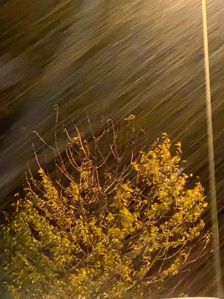 Meteomeldung von gestern Abend, 23.10.22, aus Veigy-Foncenex.