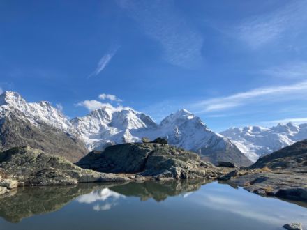 Blick von der Fuorcla Surlej, unter anderem auf auf Piz Morteratsch, Piz Bernina, Piz Roseg. Foto: Markus Kägi