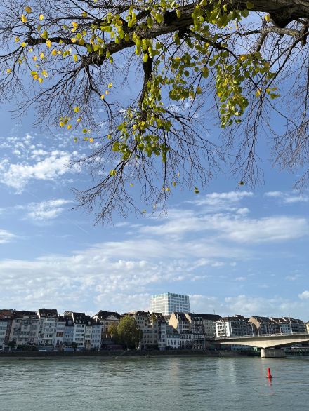Impression aus Basel. An der Messstation Basel-Binningen erreichte die Temperatur zum Zeitpunkt der Aufnahme gerade die 20-Grad-Marke. Bild: Meteomeldungen/App