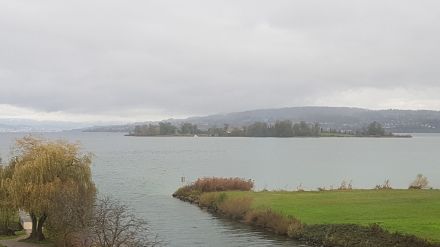Der Zürichsee lag heute weit unterhalb der Schneefallgrenze, und so fiel heute zeitweise Regen.