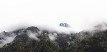 Gleichzeitig begann sich im Engadin die kompakte Wolkendecke allmählich etwas zu lichten. Bildquelle: https://engadin.roundshot.com/ardez/.