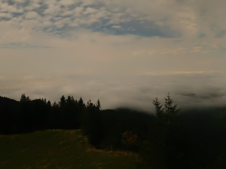 Am frühen Morgen konnte man auf der Wildspitze oberhalb von Goldau den Hochnebel gut erkennen. Bildquelle: https://wildspitz.roundshot.com/.