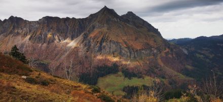 Die Vegetation zeigt sich rund um den Wägitalersee in wunderbaren Herbsttönen. Im Hintergrund der Fluebrig. Foto: Marc Grundlehner