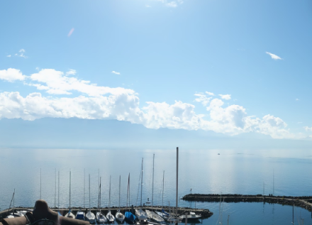 In Lutry am Genfersee war es kurz nach Mittag zwar dunstig, aber meist heiter, nur gegen die Alpen konnte man wenige Quellwolken sehen. Bildquelle: https://lutry.roundshot.com/.