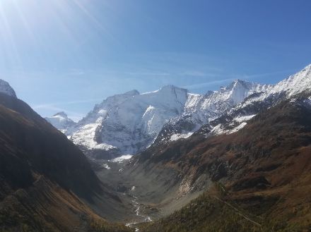 Auf dem Weg zum Roc de la Vache im Val d'Anniviers genoss man heute eine prächtige Aussicht auf die Pointe de Zinal, auf den Dent Blanche und auf den Grand Cornier. Bild: Leonz Keusch.