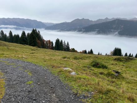 Im Vordergrund eine Kiesstrasse und Wiese, etwas weiter hinten Bäume und ein Tal, Blick auf den Hochnebel darin. Darüber ein bedeckter Himmel.