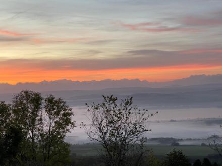 Foto von flachem Nebel, darüber Alpenpanorama mit orange beleuchteten Wolken.