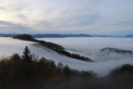 Der Hochnebel ist zumindest bei den mittelländischen Hügelzügen oftmals auch aufliegend. In den Tälern ist er jedoch abgehoben und die Sicht darunter würde man als dunstig bezeichnen. Im Bild das Überströmen der Albiskette. Foto: Daniel Gerstgrasser