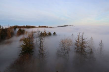 Der Nebel bildet sich im Kaltluftsee über dem Flachland, wenn die Luft die Sättigungskonzentration erreicht. Foto: Daniel Gerstgrasser