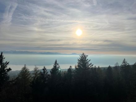 Das «Vertikalprofil in Realität» am Freitagnachmittag oberhalb von Wetzikon ZH mit Blick nach Südwesten. Der Nebel hat sich zu Dunst aufgelöst, darüber gute Fernsicht zu den Alpen, weit oben ausgedehnte hohe Wolkenfelder. Bild: Meteomeldungen/App.