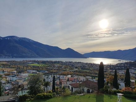 Nicht nur Schnee und Wind bestimmten heute das Wetter in der Schweiz, sondern lokal auch lediglich leicht bewölkter Himmel. In Locarno hatte die Sonne heute sogar einen Halo. Bild: Daniela Kolar.