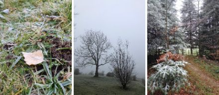 Fotos von App-Benutzern mit Reifbildungen und Hochnebel