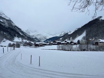 Festgepresster Schnee führt zur Glätteart «Schneeglätte». 