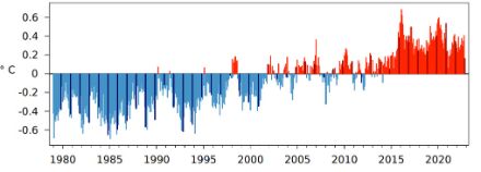 Säulengrafik der monatlichen globalen Temperatur seit 1979.