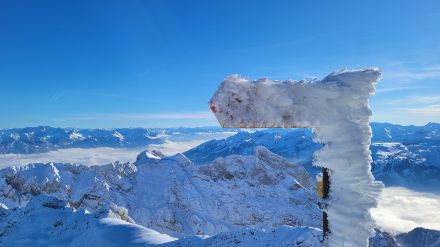 Vereister Weg(w)eiser auf dem Säntis. 