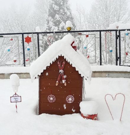 «Winterwonderland» im verschneiten Bioley VD. Bild: Meteomeldungen/App.