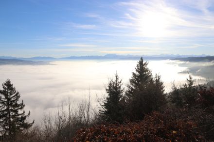 Abbildung 5: Blick von der Felsenegg auf der Albiskette Richtung Voralpen. 