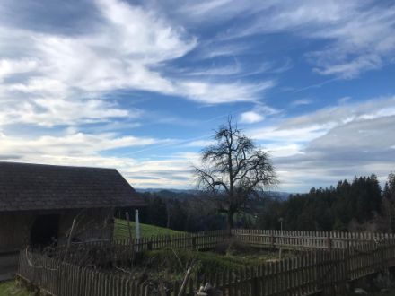 Wolkenfelder über Garten und Bäumen.