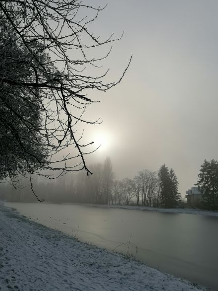 Bild von der Ortschaft «Rosenau» (nördlich von Basel im Elsass am Rheinseitenkanal gelegen; vielen Dank für den Hinweis im Kommentar) aus der MeteoSchweiz App Nutzerdatenbank – für sachdienliche Hinweise, wo dieser Standort genau liegt, sind wir dankbar und ergänzen zu späterer Stunde gerne die Legende entsprechend.