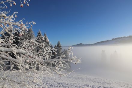 Hochnebelobergrenze auf 900 Metern, Bild von der Hochmoorebene bei Rothenthurm, Altmatt, SZ