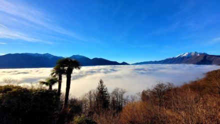 Foto aus Brione sopra Minusio.