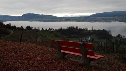 Auch in der Region Zürich schob sich die tiefe Bewölkung über den in der Nacht gebildeten Strahlungsnebel. Hier auf dem Bild sind letzte Reste über dem Zürichsee noch vorhanden. Das Bild wurde in Buechhalden oberhalb Stäfa aufgenommen. 