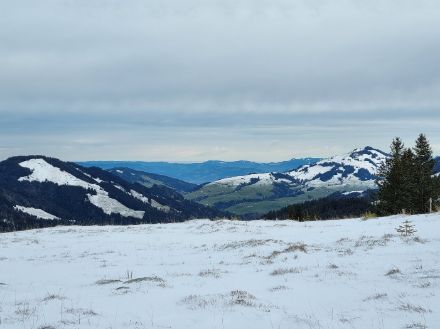 Zwischen Kronberg und Säntis am Samstagnachmittag. Schön zu erkennen ist die Schneegrenze auf etwa 1000 Metern am Fusse des Fähnerenspitz. Darüber kündigen Schichtwolken den nächsten Wetterwechsel an. Bild: Y. Karrer