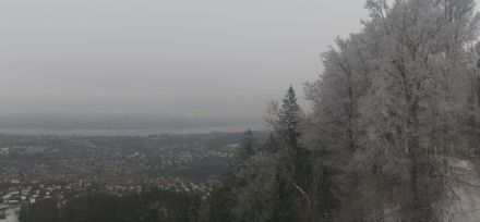 Ausblick von der Albiskette auf die Agglomeration Zürich. Der Himmel ist grau, die Bäume im Vordergrund sind von reif überzogen.