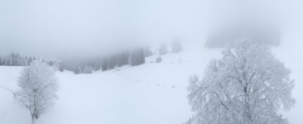 Verschneite Landschaft mit vereisten Bäumen, im Hintergrund ist es neblig