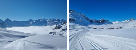 Stahlblauer Himmel und beste Schneeverhältnisse knapp über dem Hochnebel bei Melchsee-Frutt.