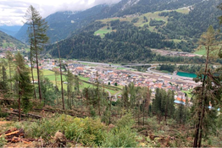 Im Gegensatz zum Nordföhn bringen die seltenen, aber lokal heftigen Süd- bis Südoststürme auf der Alpensüdseite beträchtliche Schäden, wie hier in der Faura di Airolo. 