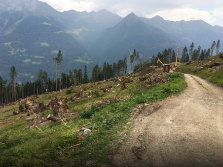 Schlimm wütete der Süd- bis Südoststurm Vaia vom 29. Oktober 2018  in der Gemeinde Poschiavo, wo einige Waldflächen kahlrasiert wurden.