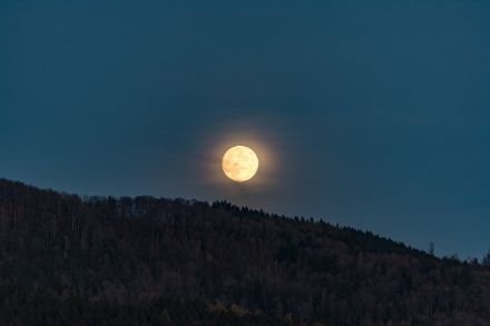 Vollmond über der Albiskette