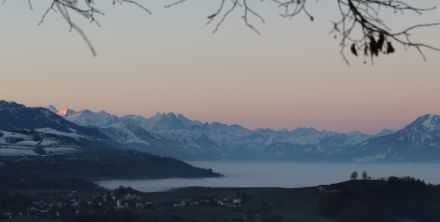 Auch von der Hirzelhöchi war die Nebelobergrenze auf etwa 600 Metern zu sehen, hier mit Blick in Richtung Zentralschweiz und Berner Oberland. Bild: D. Gerstgrasser