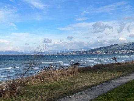 Selbst auf dem Bodensee bildeten sich heute auf den Wellen Schaumkronen. 