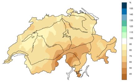 Eine Karte der Abweichung des Niederschlags zur Norm in Prozent. Sie zeigt in Brauntönen, dass es schweizweit weniger Niederschlag gab in den letzten zwölf Monaten als in der Norm.